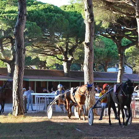 Lejlighed 4 Personnes Sur La Presqu'ile De Giens Avec Piscine Et Acces Direct Sur La