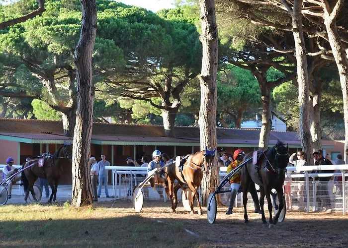 Lägenhet 4 Personnes Sur La Presqu'ile De Giens Avec Piscine Et Acces Direct Sur La