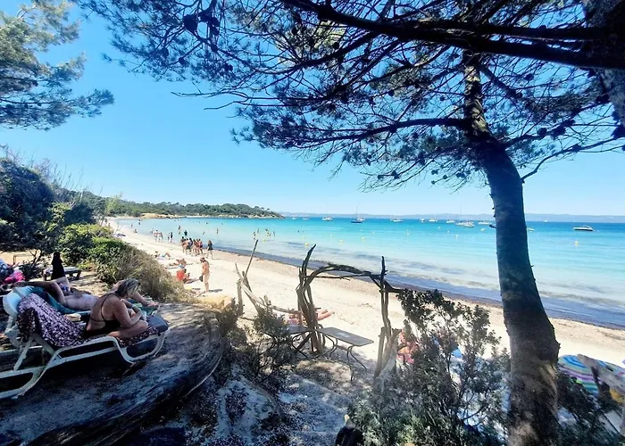 Lägenhet 4 Personnes Sur La Presqu'ile De Giens Avec Piscine Et Acces Direct Sur La